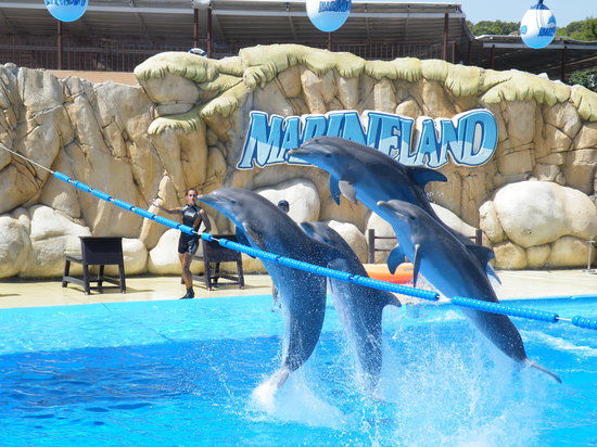 Marineland Mallorca